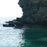 balazsh 2011